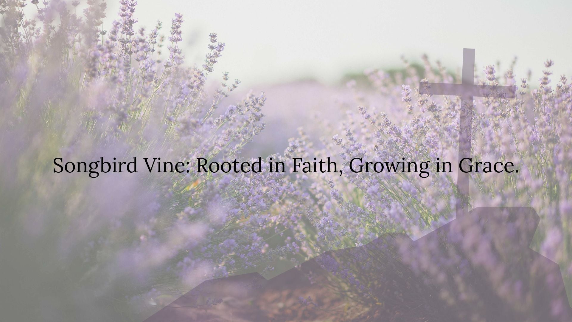 Songbird Vine Gift Card